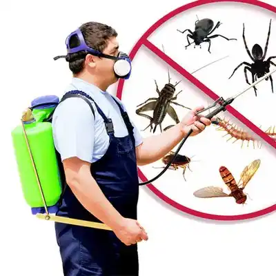 pest control Silver Hill